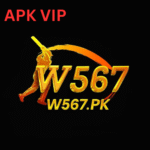 W567 Game