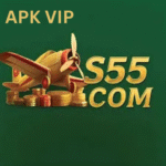 S55 Game