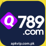 Q789 Game